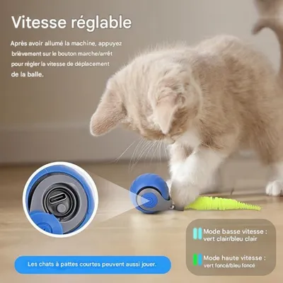 FurryFusion - Balle électrique pour chat