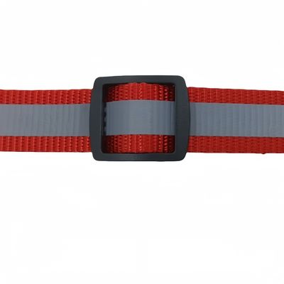 FurryFusion Collier pour chat et chien
