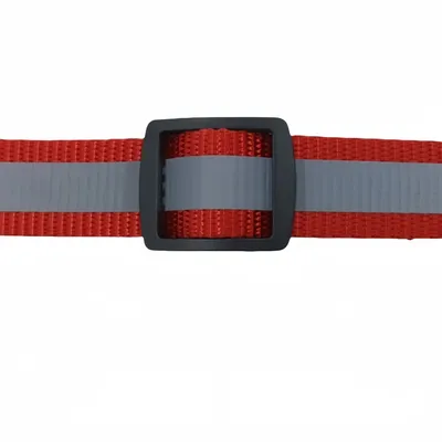 FurryFusion Collier pour chat et chien