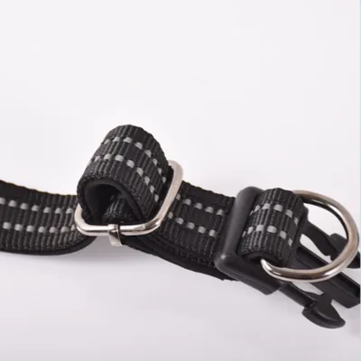 FurryFusion Collier réglable 38 - 62 cm pour chien moyen et grand