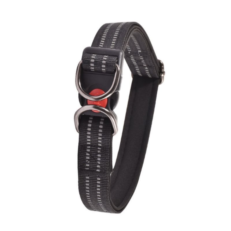 FurryFusion Collier réglable 38 - 62 cm pour chien moyen et grand