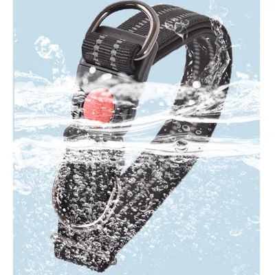 FurryFusion Collier réglable 38 - 62 cm pour chien moyen et grand