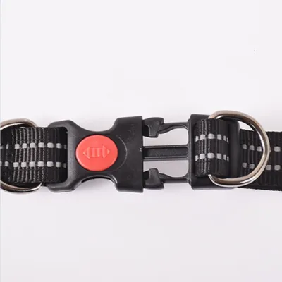 FurryFusion Collier réglable 38 - 62 cm pour chien moyen et grand