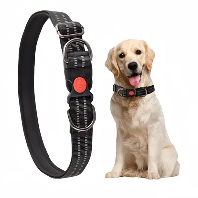 FurryFusion Collier réglable 38 - 62 cm pour chien moyen et grand FurryFusion Collier réglable 38 - 62 cm pour chien moyen et grand