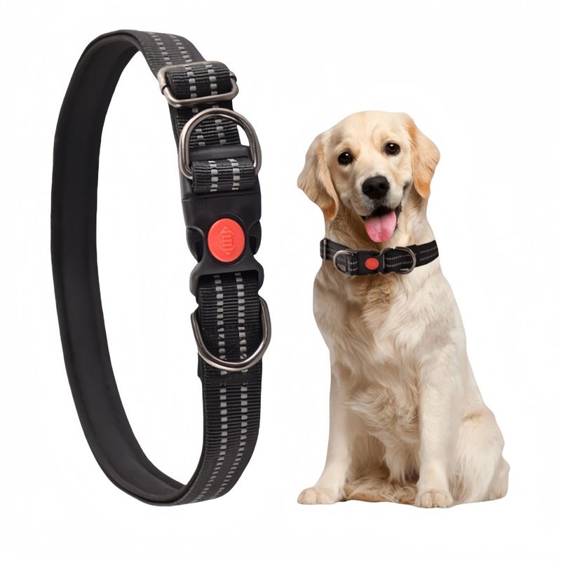 FurryFusion Collier réglable 38 - 62 cm pour chien moyen et grand