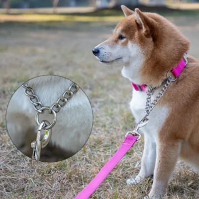 FurryFusion Collier réglable