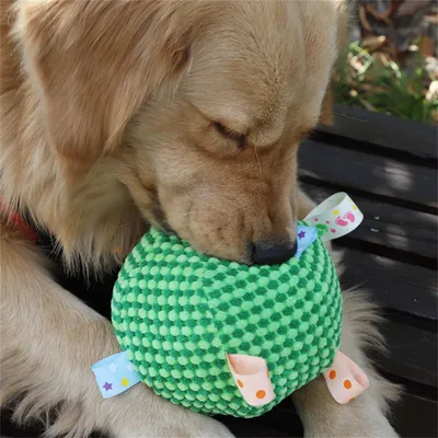 FurryFusion Bille à Cloche en Peluche pour Chats et Chiens