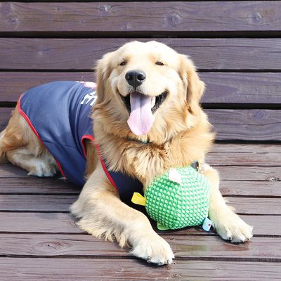 FurryFusion Pelota de peluche con cascabel para gatos y perros