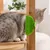 FurryFusion Peigne multifonction en silicone pour chien et chat