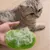 FurryFusion Peigne multifonction en silicone pour chien et chat