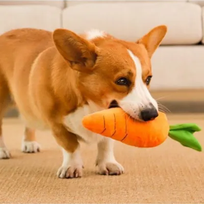 FurryFusion Jeu en forme de carotte sonore pour chiens