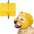 FurryFusion Bonnet de douche pour chien
