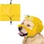 FurryFusion Bonnet de douche pour chien