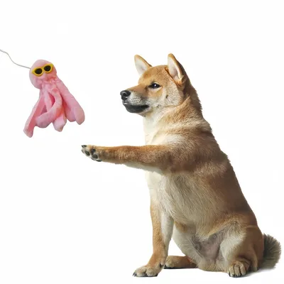 FurryFusion Jouet interactif pour chat Octopus