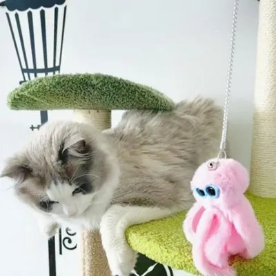 FurryFusion Jouet interactif pour chat Octopus