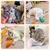 FurryFusion - Jouets en peluche