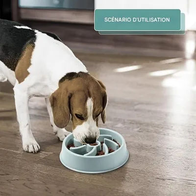 FurryFusion – Gamelle Slow Food