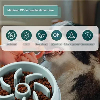 FurryFusion – Gamelle Slow Food