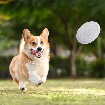 FurryFusion - Gamelle pliable pour chien