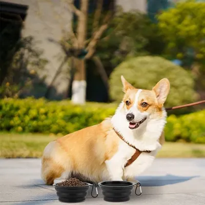 FurryFusion Comedero plegable para perros