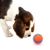 FurryFusion - Balle jouet pour chien