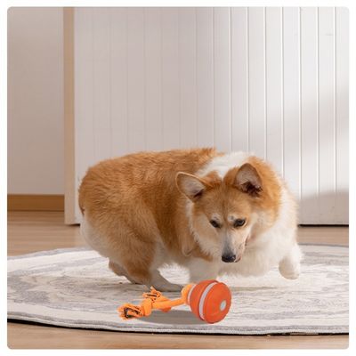 FurryFusion Pelota inteligente rodante para perros