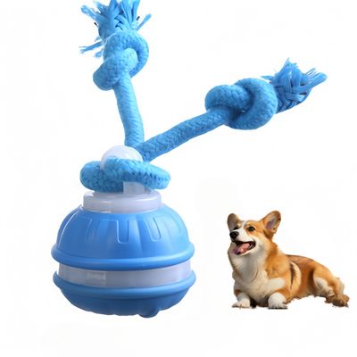 FurryFusion Bille Roulante Intelligente pour Chiens