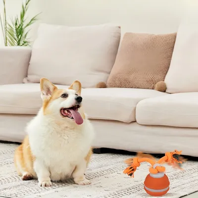 FurryFusion Bille Roulante Intelligente pour Chiens