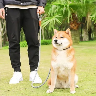 FurryFusion Corde de pour Chiens