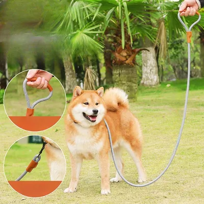 FurryFusion Corde de pour Chiens