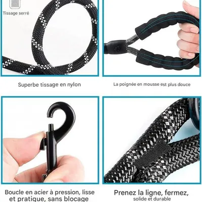 FurryFusion - Laisse pour chien