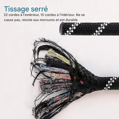 FurryFusion - Laisse pour chien