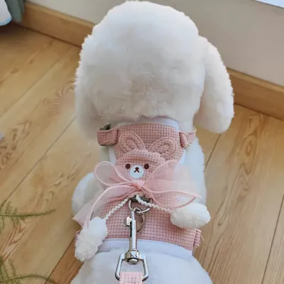 FurryFusion Harnachement de traction pour petit chien et chat