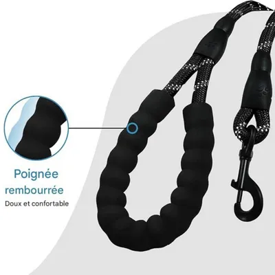 FurryFusion - Laisse pour chien