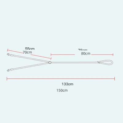 FurryFusion Laisse pour chien à double extrémité