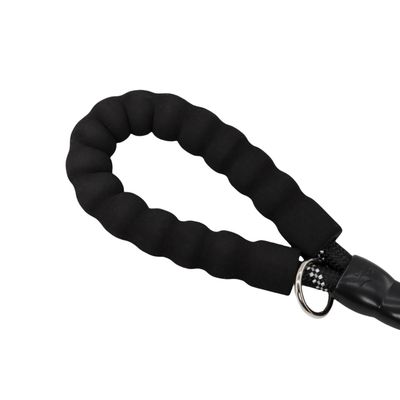 FurryFusion Laisse pour chien à double extrémité