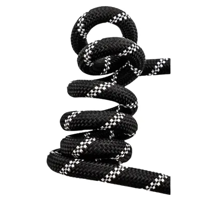 FurryFusion Laisse pour chien à double extrémité