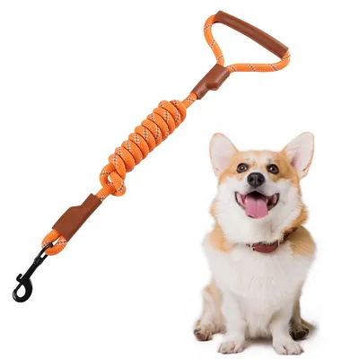 FurryFusion Corde de pour Chiens