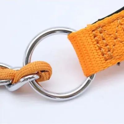 FurryFusion Collier et corde de traction en chaîne P double face pour chien