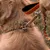 FurryFusion Collier et corde de traction en chaîne P double face pour chien