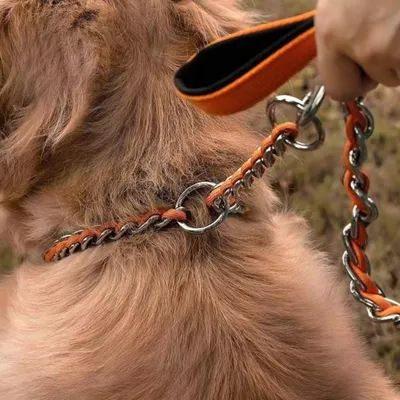 FurryFusion Collier et corde de traction en chaîne P double face pour chien