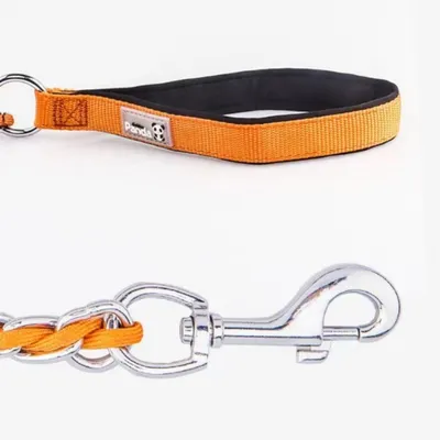 FurryFusion Collier et corde de traction en chaîne P double face pour chien