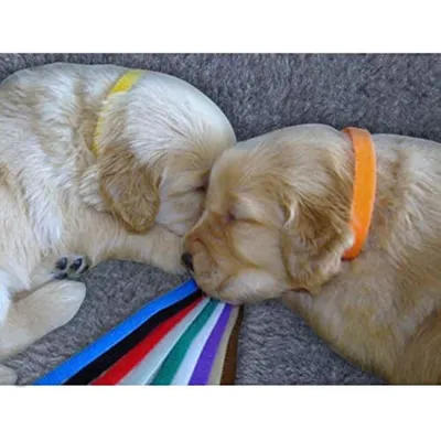 FurryFusion - String tag - 12 pièces