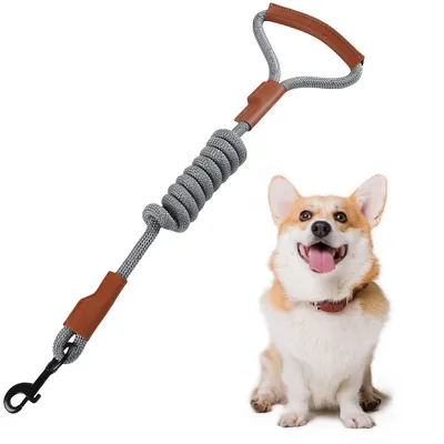 FurryFusion Corde de pour Chiens