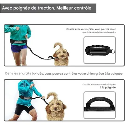 FurryFusion - Laisse pour animaux de compagnie