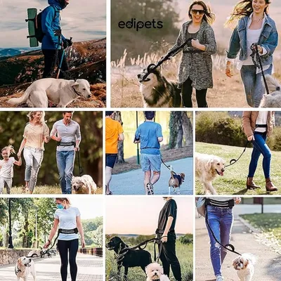 FurryFusion - Laisse pour animaux de compagnie