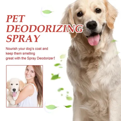 FurryFusion Spray Désodorisant pour Animaux de Compagnie