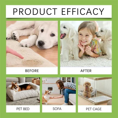 FurryFusion Spray Anti - Odor pour Animaux de Compagnie