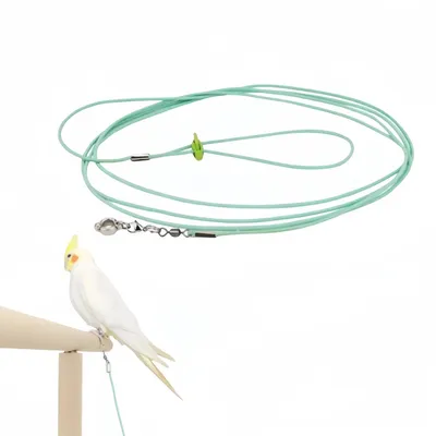 Laisse de vol pour perroquet FurryFusion (avec anneau de pied) Laisse de vol pour perroquet FurryFusion (avec anneau de pied)
