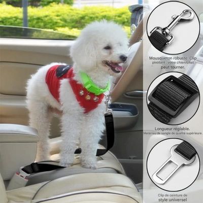 FurryFusion - Ceinture de sécurité pour chien